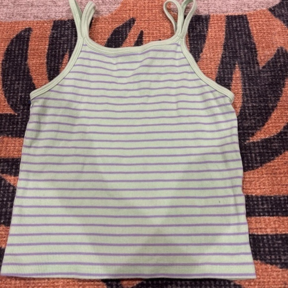 Zara Mint Green and Lavender Striped Tank Top